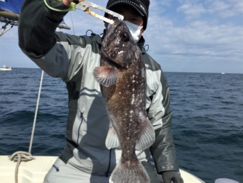鯛紅丸 釣果