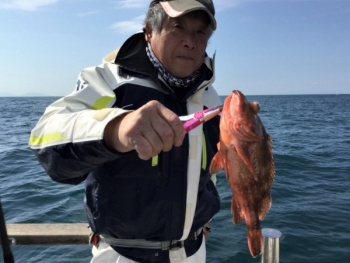鯛紅丸 釣果