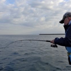 鯛紅丸 釣果