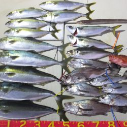 Hit Rush(ヒット ラッシュ） 釣果