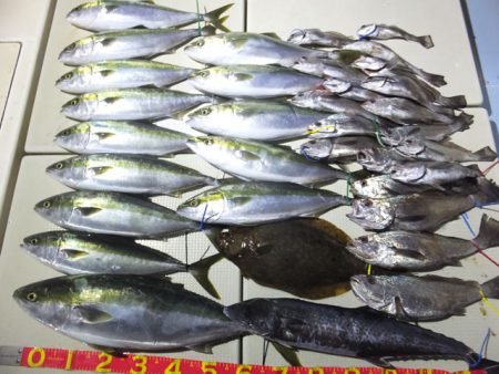 Hit Rush(ヒット ラッシュ） 釣果…