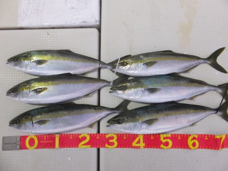 Hit Rush(ヒット ラッシュ） 釣果…