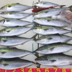 Hit Rush(ヒット ラッシュ) 釣果