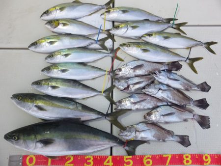 Hit Rush(ヒット ラッシュ） 釣果…