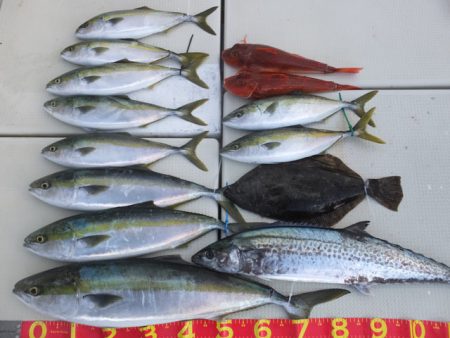 Hit Rush(ヒット ラッシュ） 釣果…