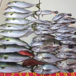 Hit Rush(ヒット ラッシュ) 釣果