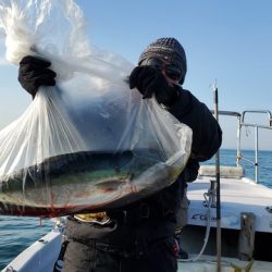 遊漁船　ニライカナイ 釣果