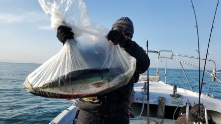 遊漁船　ニライカナイ 釣果