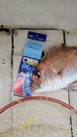 遊漁船 ニライカナイ 釣果