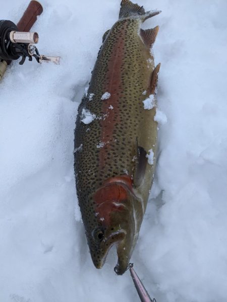 会津大川（会津非出資漁業協同組合） 釣果