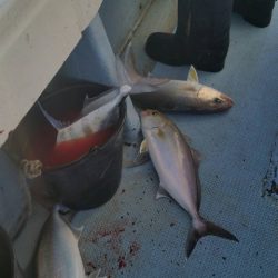 第五慶門丸 釣果