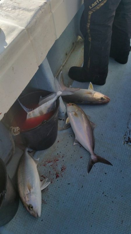 第五慶門丸 釣果