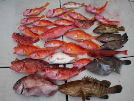 TOPGUN名古屋 釣果