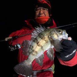 Magic(マジック) 釣果