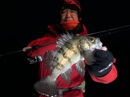 Magic(マジック) 釣果