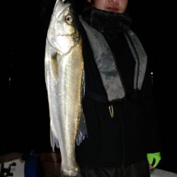 Marine T Design　マリンティーデザイン 釣果