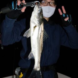 Marine T Design マリンティーデザイン 釣果