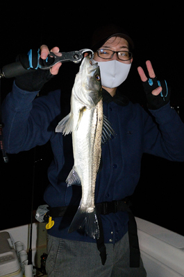 Marine T Design マリンティーデザイン 釣果