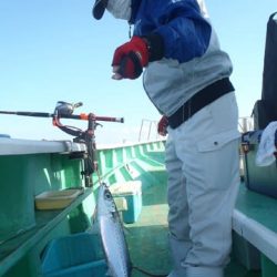 第二むつ漁丸 釣果