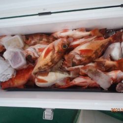 第二むつ漁丸 釣果