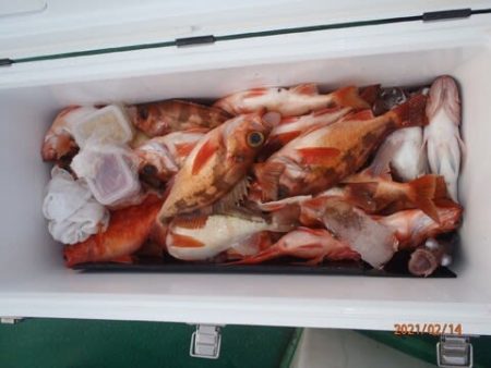 第二むつ漁丸 釣果