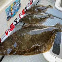 遊漁船 セトマリン 釣果