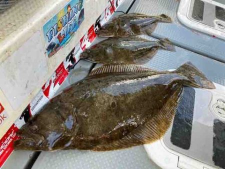 遊漁船 セトマリン 釣果