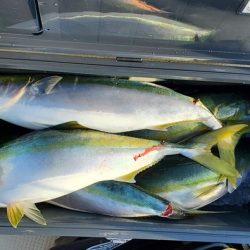 遊漁船　ニライカナイ 釣果