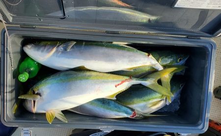 遊漁船　ニライカナイ 釣果