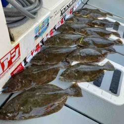 遊漁船 セトマリン 釣果