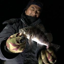 Magic（マジック） 釣果