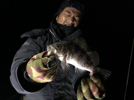 Magic（マジック） 釣果