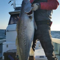 第五慶門丸 釣果