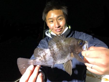 Magic（マジック） 釣果