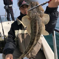 Magic（マジック） 釣果