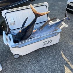 へいみつ丸 釣果