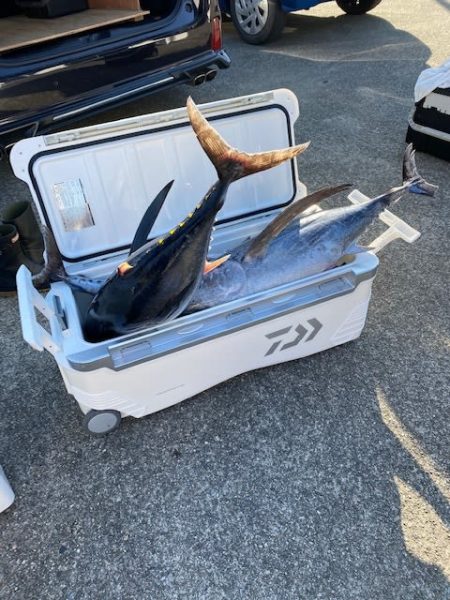 へいみつ丸 釣果