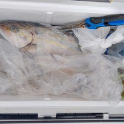 遊漁船 新鋭丸 釣果