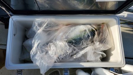 遊漁船　ニライカナイ 釣果