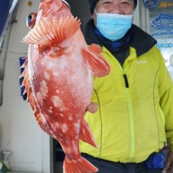 遊漁船　ニライカナイ 釣果