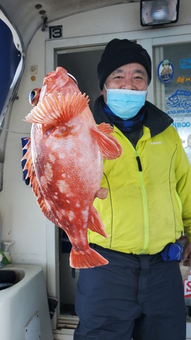 遊漁船　ニライカナイ 釣果