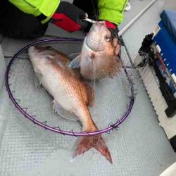 遊漁船 セトマリン 釣果