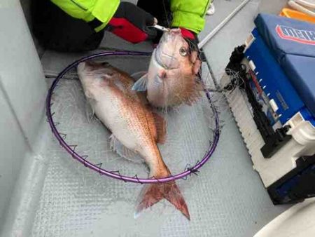 遊漁船 セトマリン 釣果