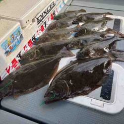 遊漁船 セトマリン 釣果