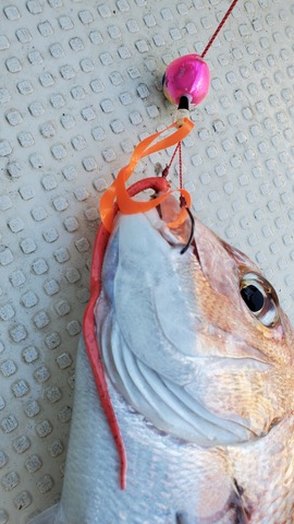 遊漁船　ニライカナイ 釣果