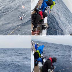 番匠高宮丸 釣果