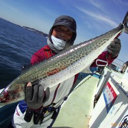 さわ浦丸 釣果