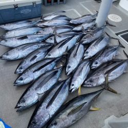 へいみつ丸 釣果
