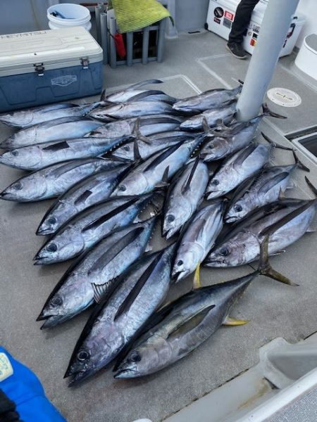 へいみつ丸 釣果