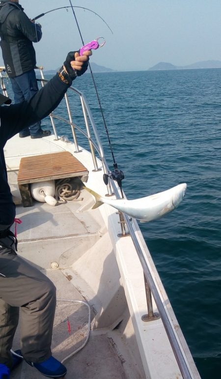 弘福丸 釣果
